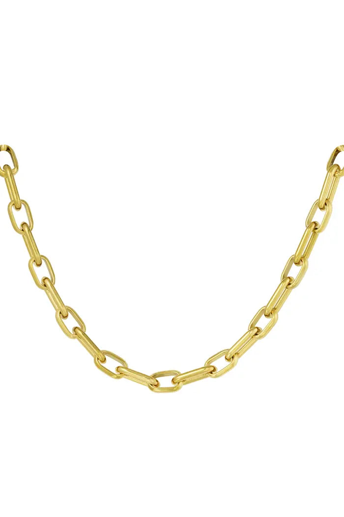 Stainless steel big chain ketting “gold”