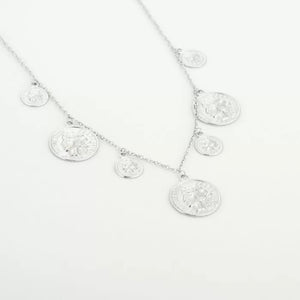 Stainless steel munt ketting “Silver”