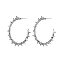 Load image into Gallery viewer, Mooie Stainless steel hoop oorbellen “Silver”
