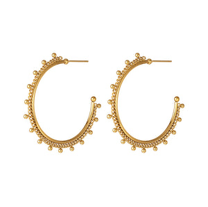 Mooie Stainless steel hoop oorbellen “Gold”
